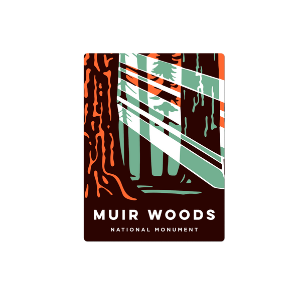 Muir Woods Sun Rays Sticker