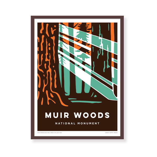 Muir Woods Sun Rays 12 x 16 framed print
