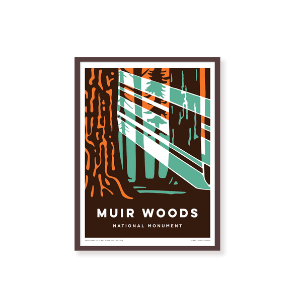 Muir Woods Sun Rays 8 x 10 framed print