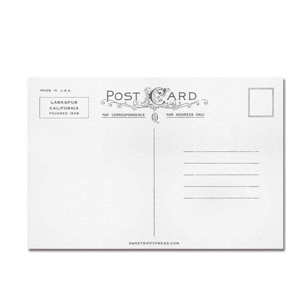 Larkspur Ferry Postcard
