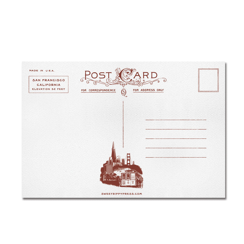 Painted Ladies San Francisco Postcard