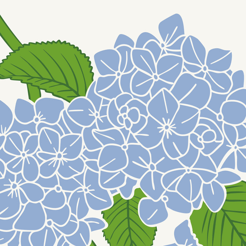 Hydrangeas