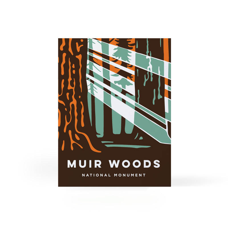 Muir Woods Sun Rays