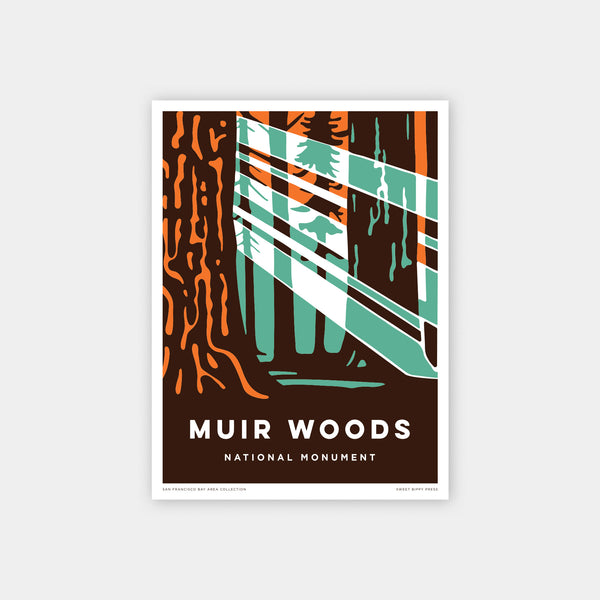 Muir Woods Sun Rays 8 x 10 unframed print