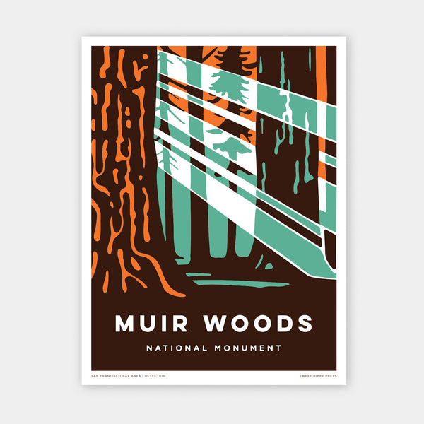 Muir Woods Sun Rays 12 x 16 unframed print